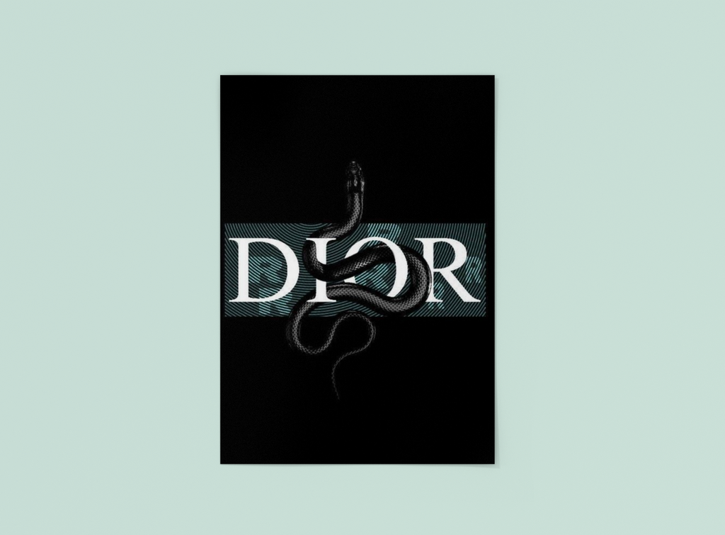 DIOR Poster