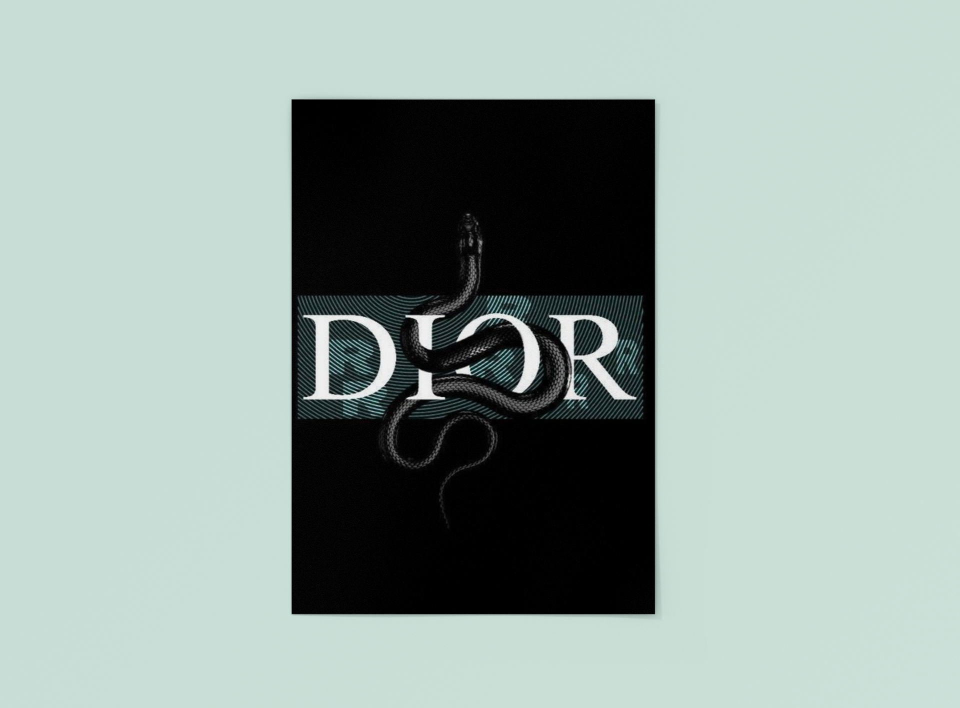 DIOR Poster
